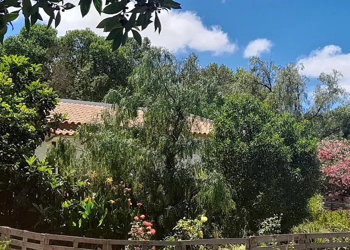 Nature Houses
